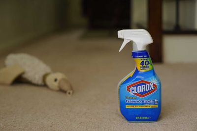Clorox Has Fallen 22% and Now Yields 5%. This Dividend King Looks Too Cheap to Ignore.